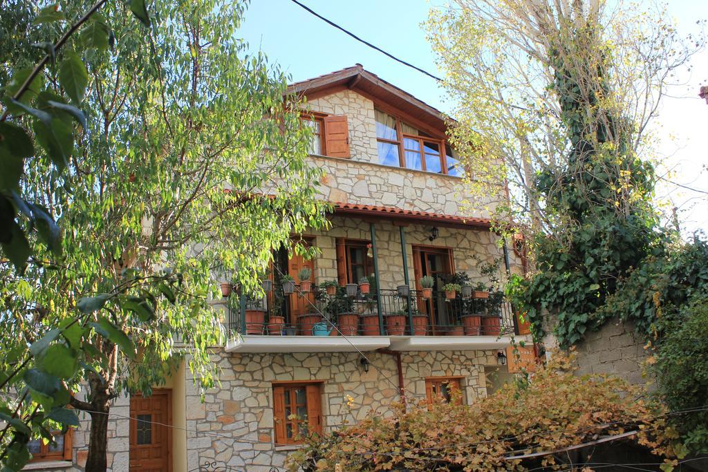 Patriko Appartement Arachova Kamer foto