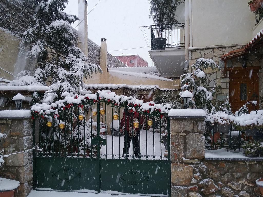 Patriko Appartement Arachova Buitenkant foto